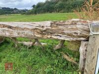 90CM HIGH CROSS COUNTRY 'LOG' FENCE - 6