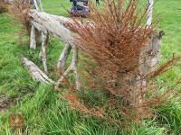 90CM HIGH CROSS COUNTRY 'LOG' FENCE - 10