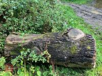90CM HIGH XC 'LOG' FENCE - 5