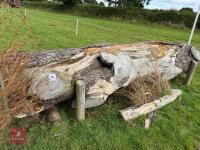 100CM HIGH XC 'LOG' FENCE - 3