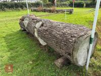 100CM HIGH XC 'LOG' FENCE - 6