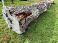 100CM HIGH XC 'LOG' FENCE - 9