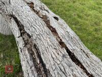 110CM HIGH XC 'LOG' FENCE - 19