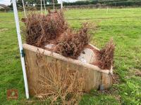 100CM HIGH XC TRIPLE BRUSH SKINNY ARROW - 3