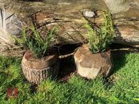 100CM HIGH CROSS COUNTRY 'LOG' FENCE - 4