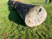 100CM HIGH CROSS COUNTRY 'LOG' FENCE - 5