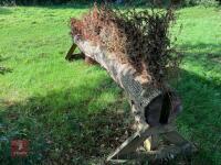 110CM HIGH XC 'BRUSH TOP LOG' FENCE - 22