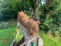 110CM HIGH XC 'BRUSH TOP LOG' FENCE - 30
