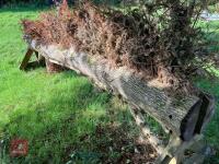110CM HIGH XC 'BRUSH TOP LOG' FENCE - 31