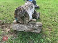 110CM HIGH XC 'SQUIRREL AND ACORN SKINNY - 25