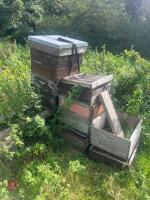 OLD BEE HIVE AND COLONY