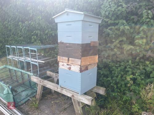 CEDAR BEE HIVE AND COLONY
