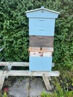 CEDAR BEE HIVE AND COLONY - 2