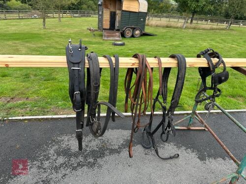 PONY DRIVING HARNESS