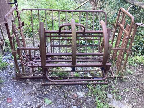 SHEEP TURNOVER CRATE
