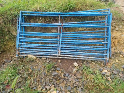 4 X 6' BLUE HURDLES