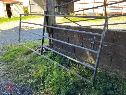12' GALVANISED YARD GATE (22)
