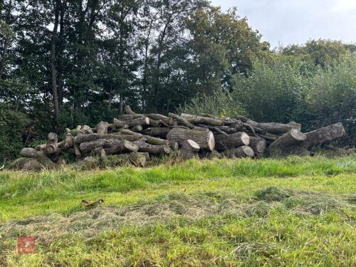 LARGE QUANTITY OF FIREWOOD