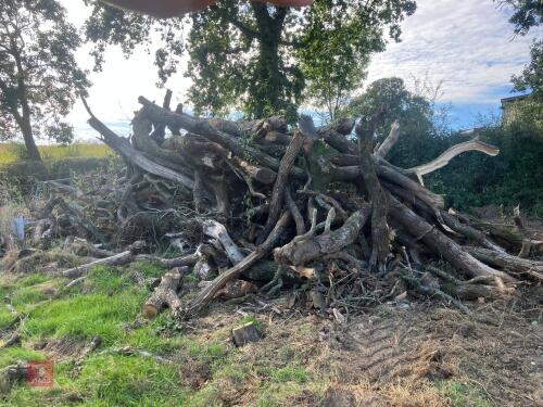 LARGE HEAP OF FIREWOOD