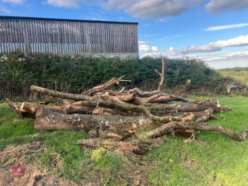 LARGE HEAP OF FIREWOOD