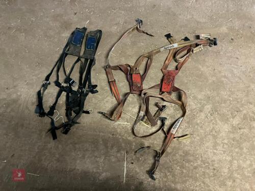 4 RAM RADDLE HARNESSES