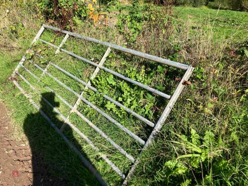 10' GALVANISED FIELD GATE