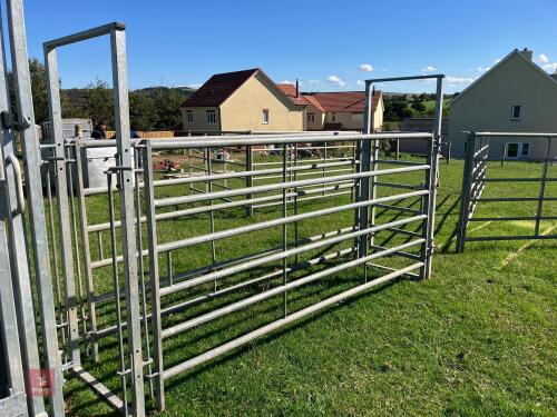 IAE GALVANISED CATTLE RACE