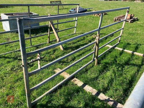 HEAVY DUTY 11' GALVANISED GATE