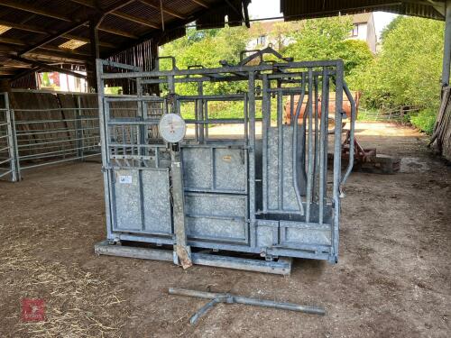 IAE GALVANISED WEIGH CATTLE CRUSH