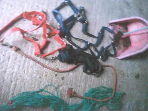 3 PONY HALTERS ETC