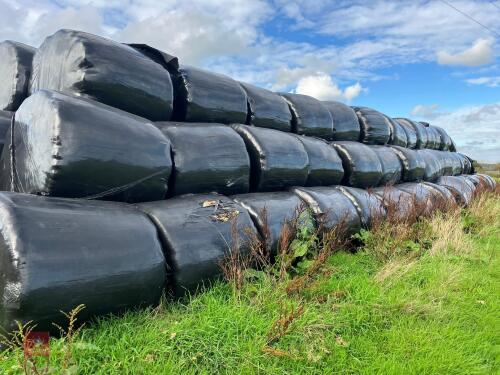 25 WRAPPED ROUND BALES OF 2024 HAYLAGE - BIDS PER BALE