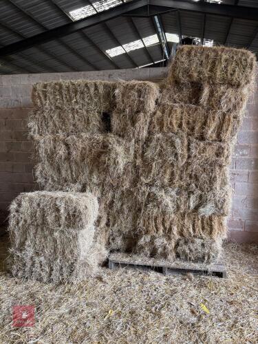 47 CONVENTIONAL BALES OF 2024 HAY - BIDS FOR THE GROUP