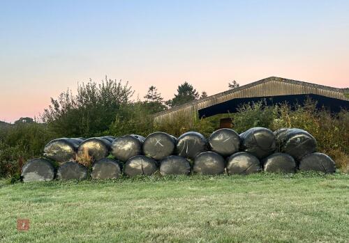 60 WRAPPED ROUND BALES OF 2023 HAYLAGE - BIDS PER BALE