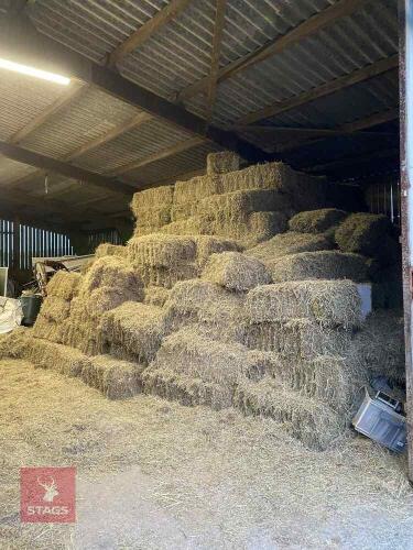 100 CONVENTIONAL BALES OF 2025 HAY - BIDS PER GROUP