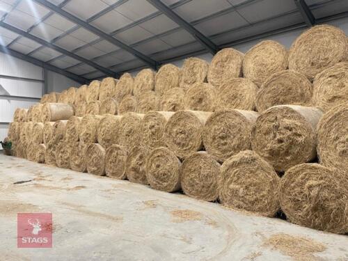 150 ROUND BALES OF 2025 HAY - BIDS PER BALE