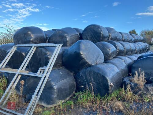 50 BALES OF 2024 SILAGE - BIDS PER BALE