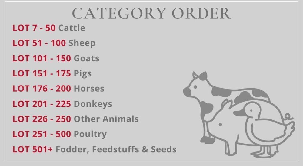 SOUTH WEST SALE LOT CATEGORIES