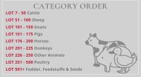 SOUTH WEST SALE LOT CATEGORIES