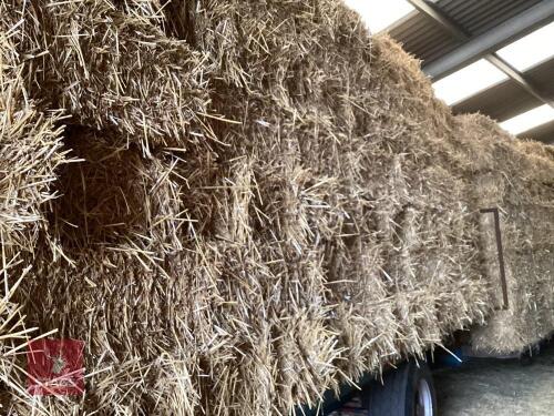 50 CONVENTIONAL BALES OF WHEAT STRAW - BIDS FOR THE GROUP