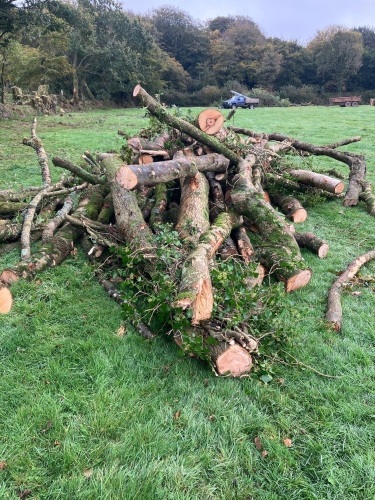 MEDIUM SIZE LENGTHS OF ASH /OAK FIREWOOD