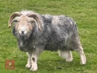 HERDWICK 4T RAM
