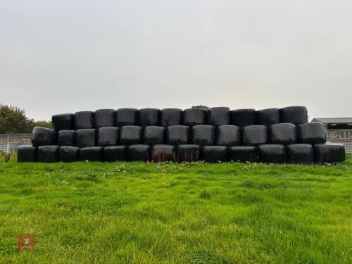 100 BALES OF 2025 1ST CUT SILAGE - BIDS PER BALE