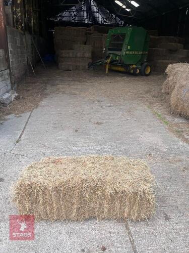 50 CONVENTIONAL BALES OF 2025 HAY - BIDS FOR THE GROUP