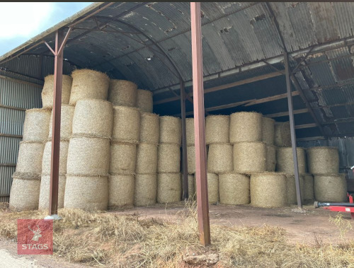 50 WHEAT STRAW BALES - BIDS PER BALE