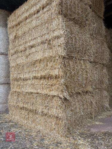 18 TRITICALE BALES - BIDS PER BALE