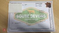 18MO SOUTH DEVON HEIFER (320) - 9