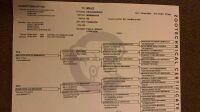 2YO PEDIGREE CHAROLAIS BULL - 4