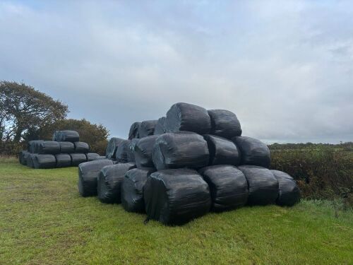 81 ROUND BALES OF 2025 HAYLAGE - BIDS PER BALE