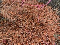 5 ROLLS OF USED 'RABBIT' FLEXINET - 7