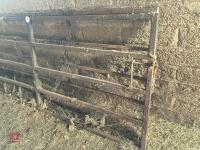 2 METAL BOX SECTION YARD GATES - 5